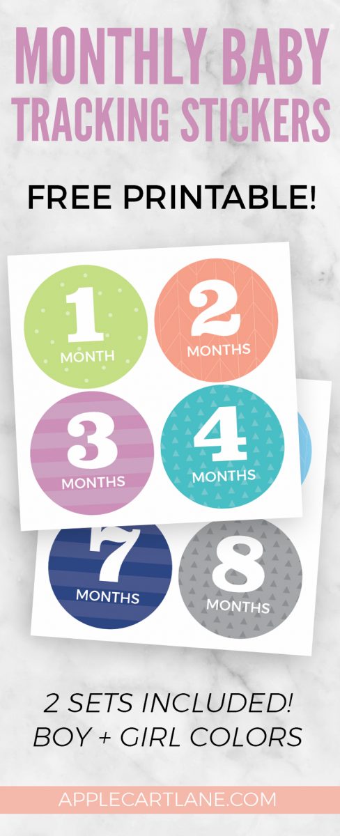 Free Download! Monthly Baby Sticker Printable. Monthly baby stickers are a great way to record your baby’s growth. Baby monthly stickers make great baby shower gifts for new moms! 