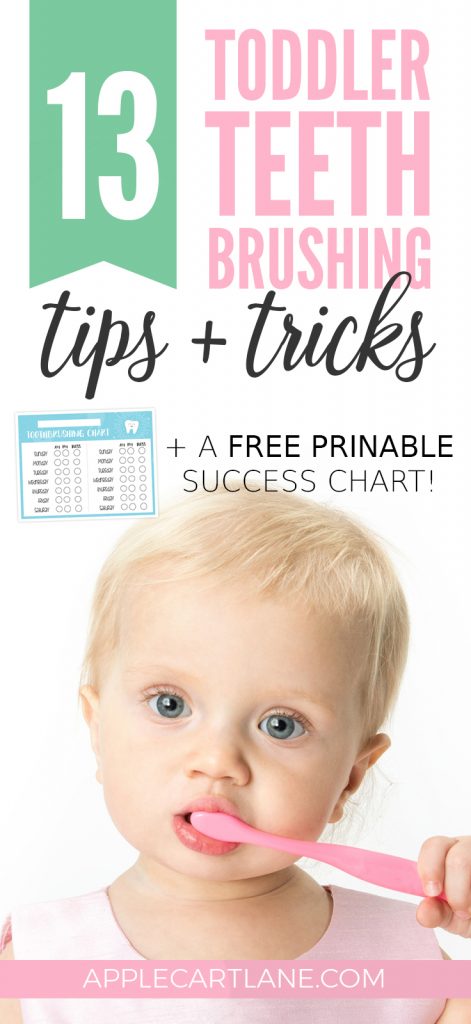 The BEST toddler toothbrushing tips and tricks, plus a FREE printable success chart!