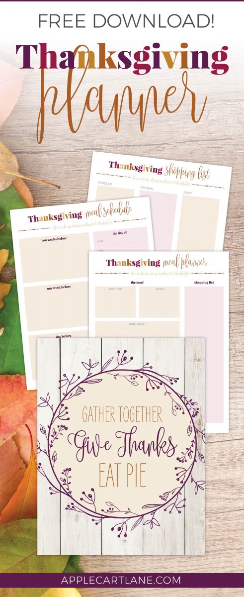 This is exactly what I needed! Functional (and fun!) Thanksgiving Planner printable. Includes a thanksgiving meal planner, thanksgiving shopping list, thanksgiving place cards and more! Now to just nail down all a thanksgiving recipe or two:)